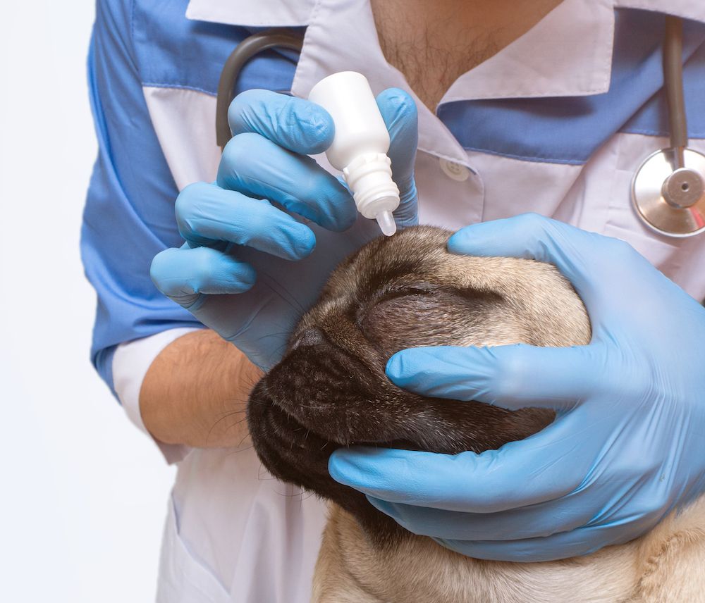 The Gossip Column: February 23, 2024